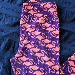 LuLaRoe Pants Jumpsuits Lularoe Flamingo Leggings Poshmark